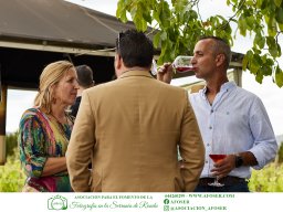 Festival Mar de Tethys 2026 - Bodega Vetas